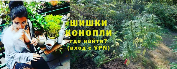 молекула духа Инсар