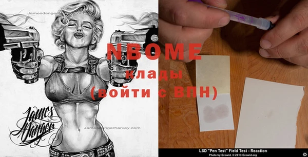 молекула духа Инсар