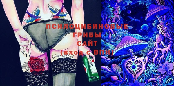 стаф Каменка