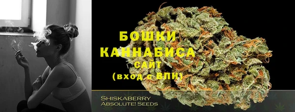 ECSTASY Инта